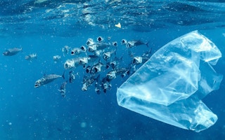 Plastic bag in water